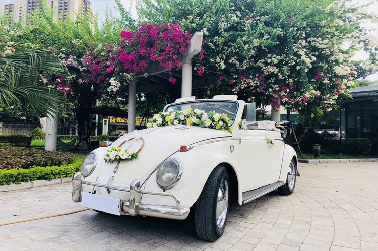 Thuê xe cưới Volkswagen: Lựa chọn hoàn hảo để nâng tầm đám cưới của bạn