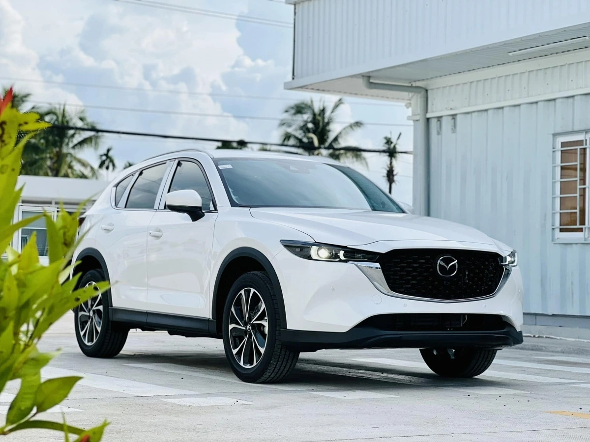Xu hướng thuê xe SUV theo tháng ngày càng phổ biến